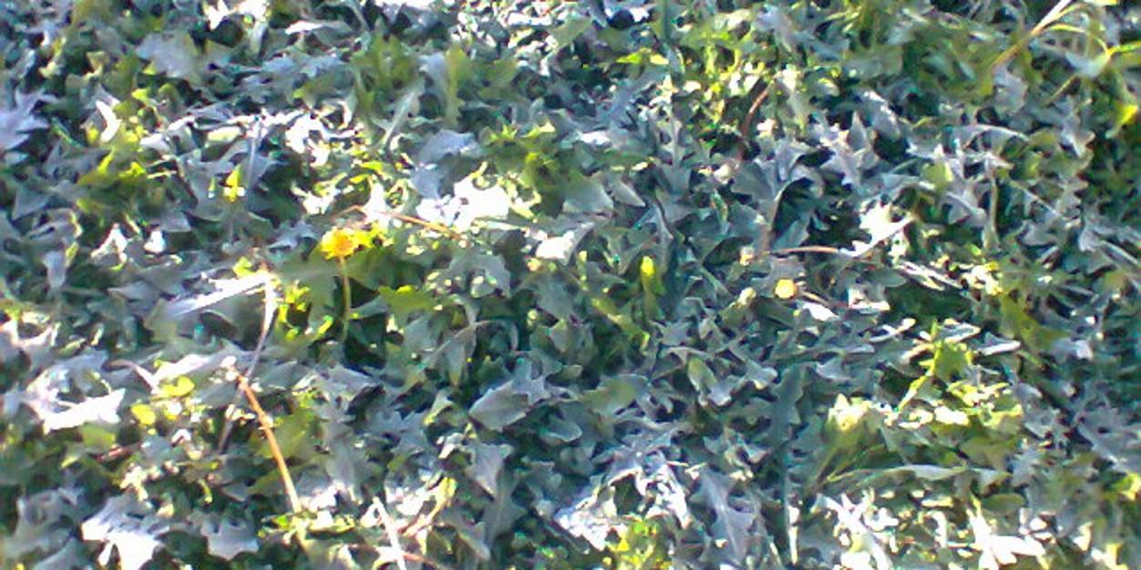 miriam_bruno's profile banner image