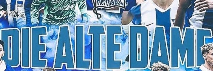 Danni banner