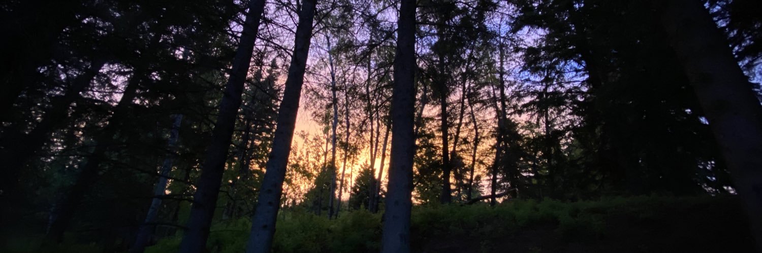 DumanskiStacey's profile banner image