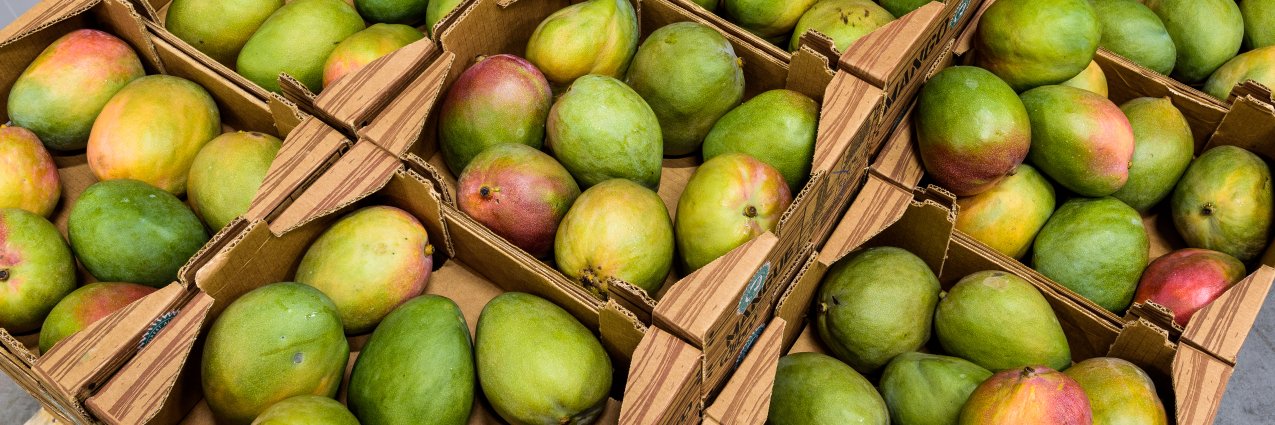 Global Fresh Trade banner