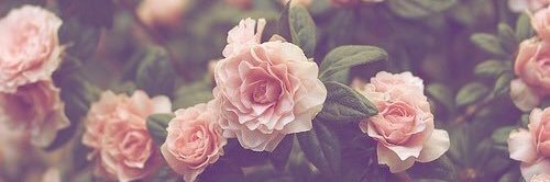 ___jeddah's profile banner image