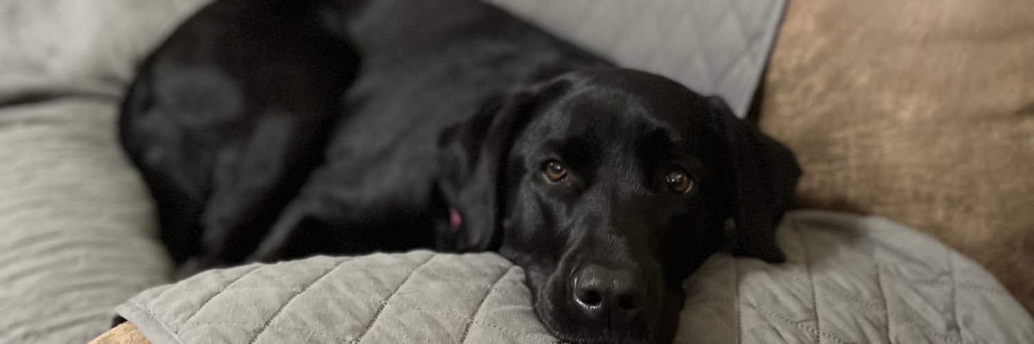 Heidi__Mueller's profile banner image