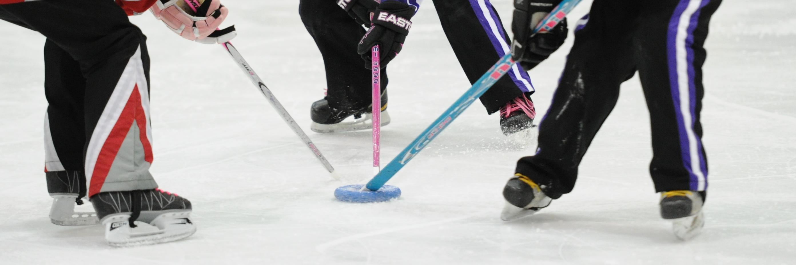 Edm_Ringette's profile banner image
