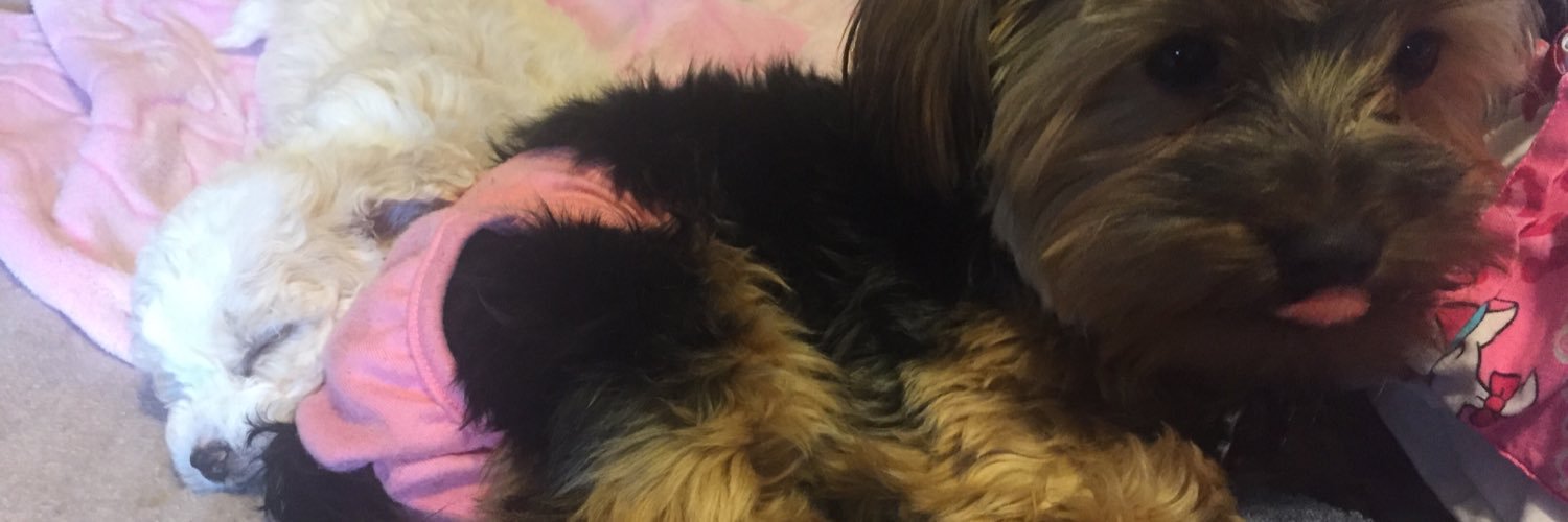 leeshamatthews's profile banner image