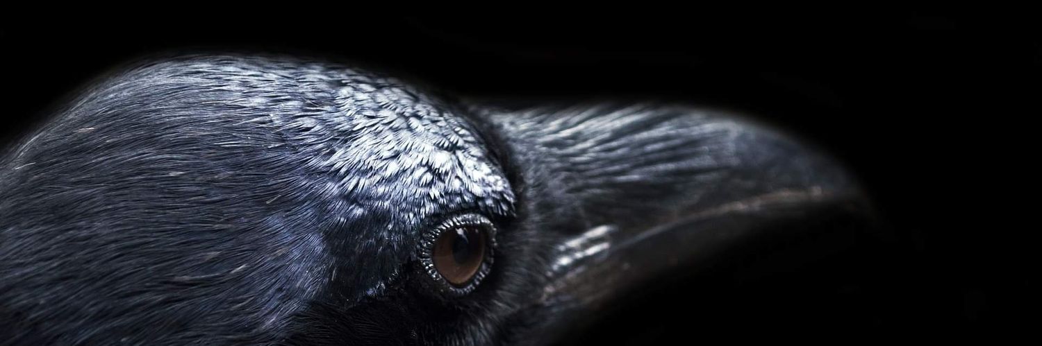 heartbamboo's profile banner image