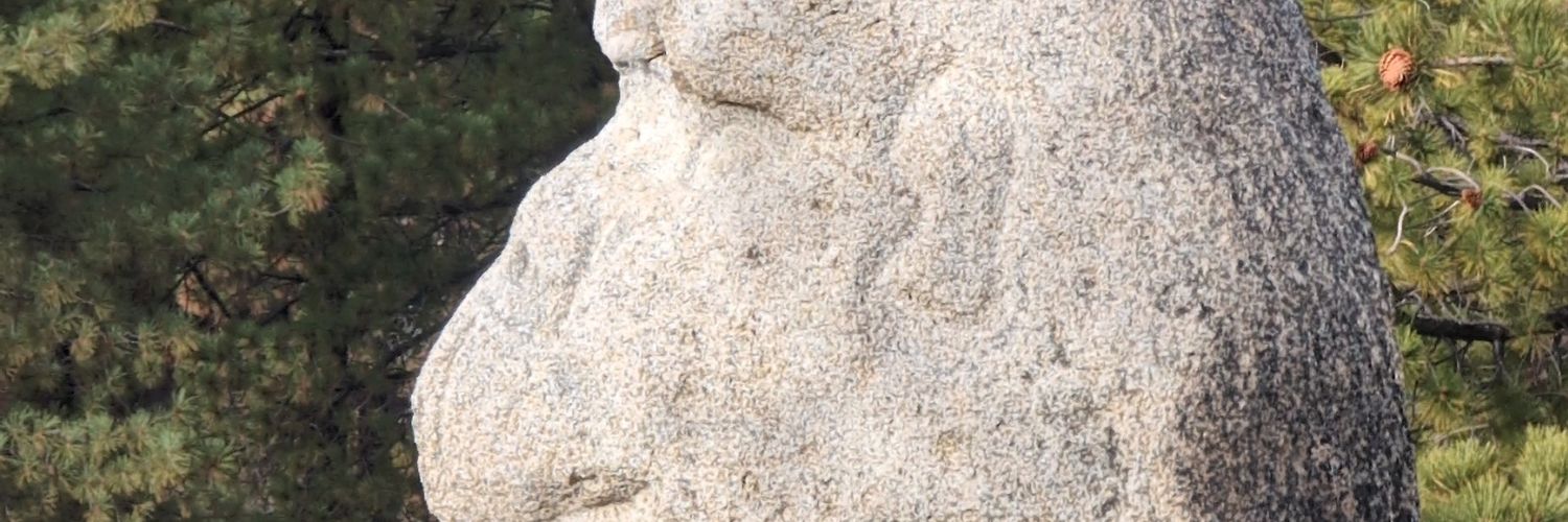 Christophmd's profile banner image