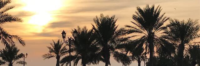 youngblond's profile banner image