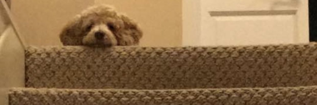 EmmyStine2's profile banner image