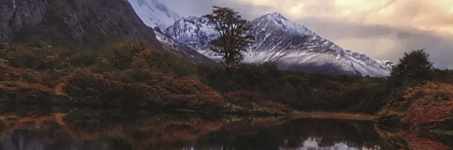 fedeweisk's profile banner image
