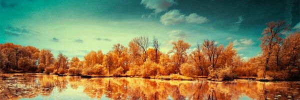TheNorBran's profile banner image