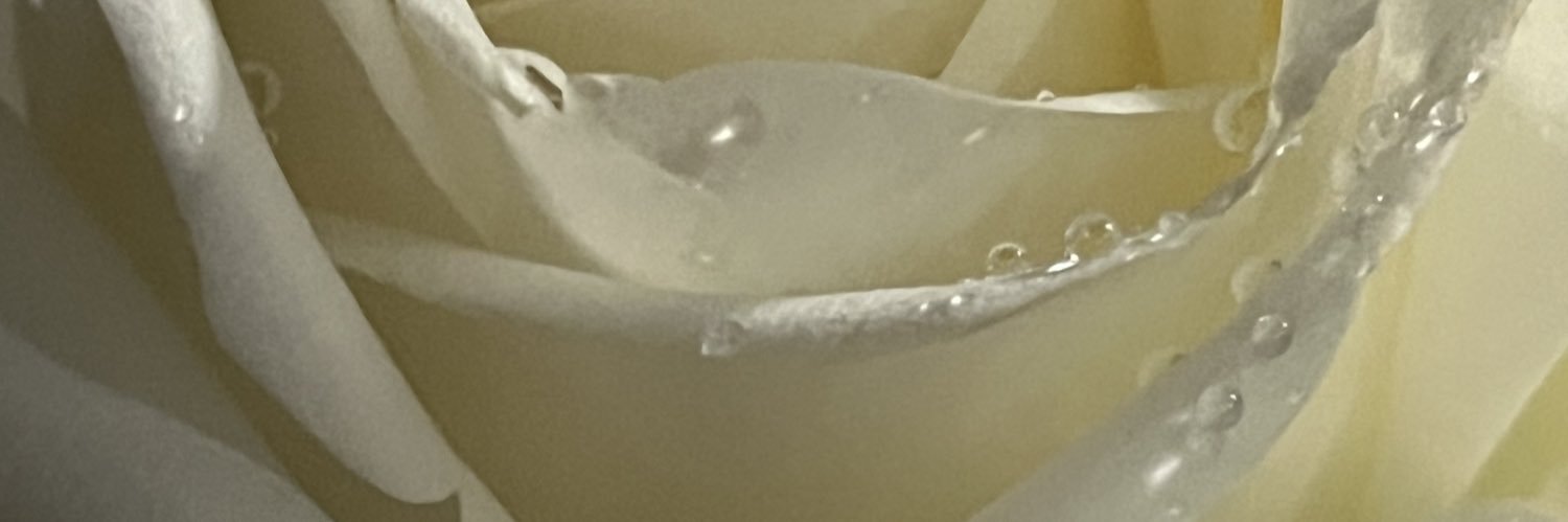 p_bowonlak's profile banner image