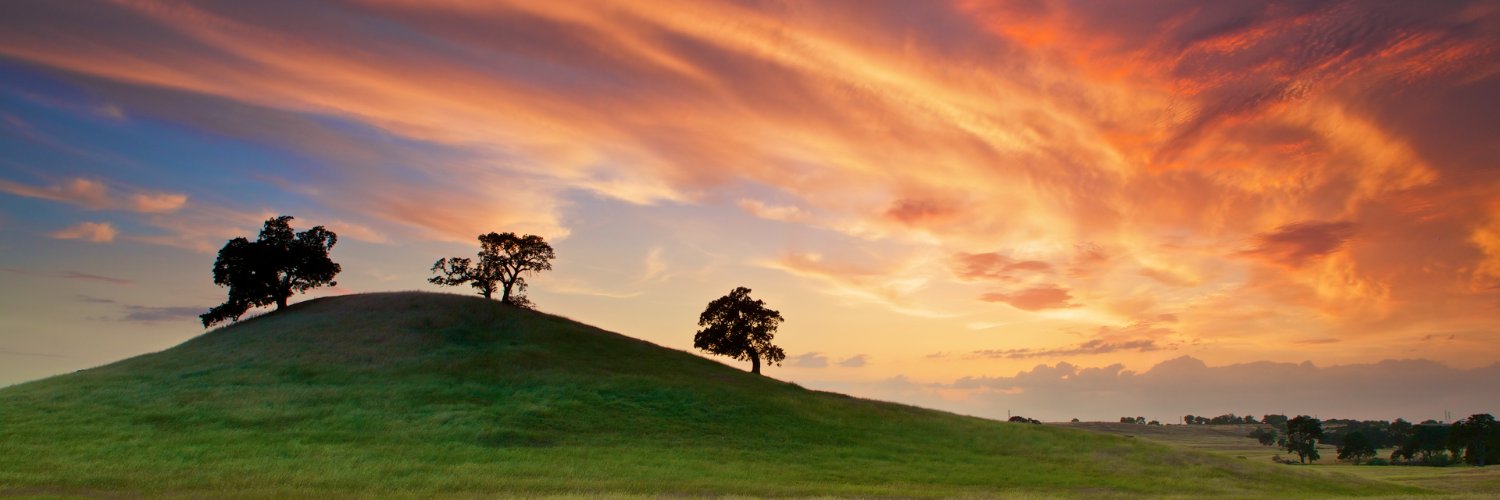 BorjasIsaac's profile banner image