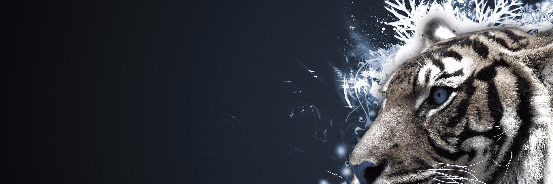 odin_fenrir's profile banner image