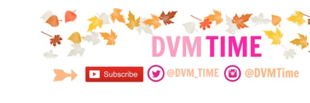 DVMTime's profile banner image
