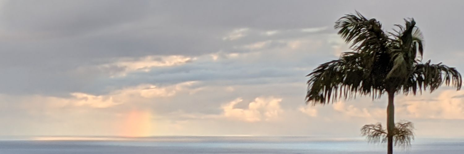 Concerned US Citizen banner