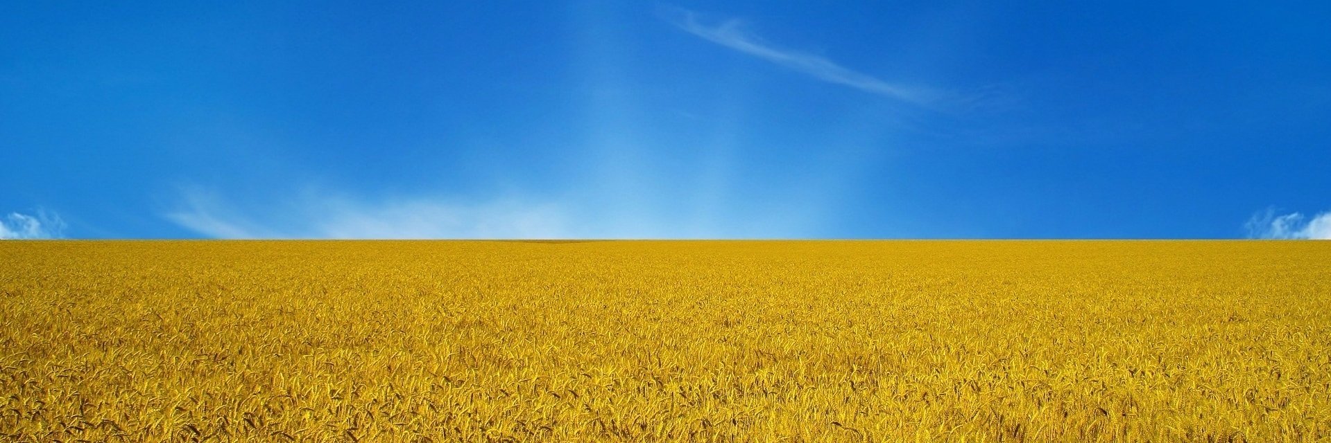 YuriNik🇺🇦 banner