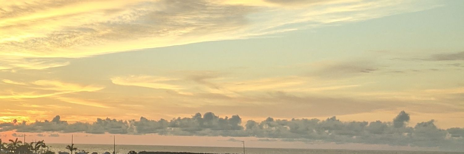 arendonp's profile banner image