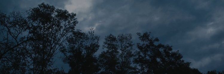 irinax banner
