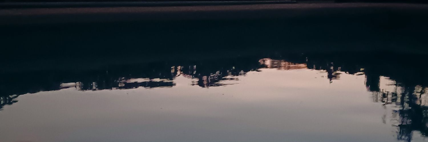 gabucha1978's profile banner image