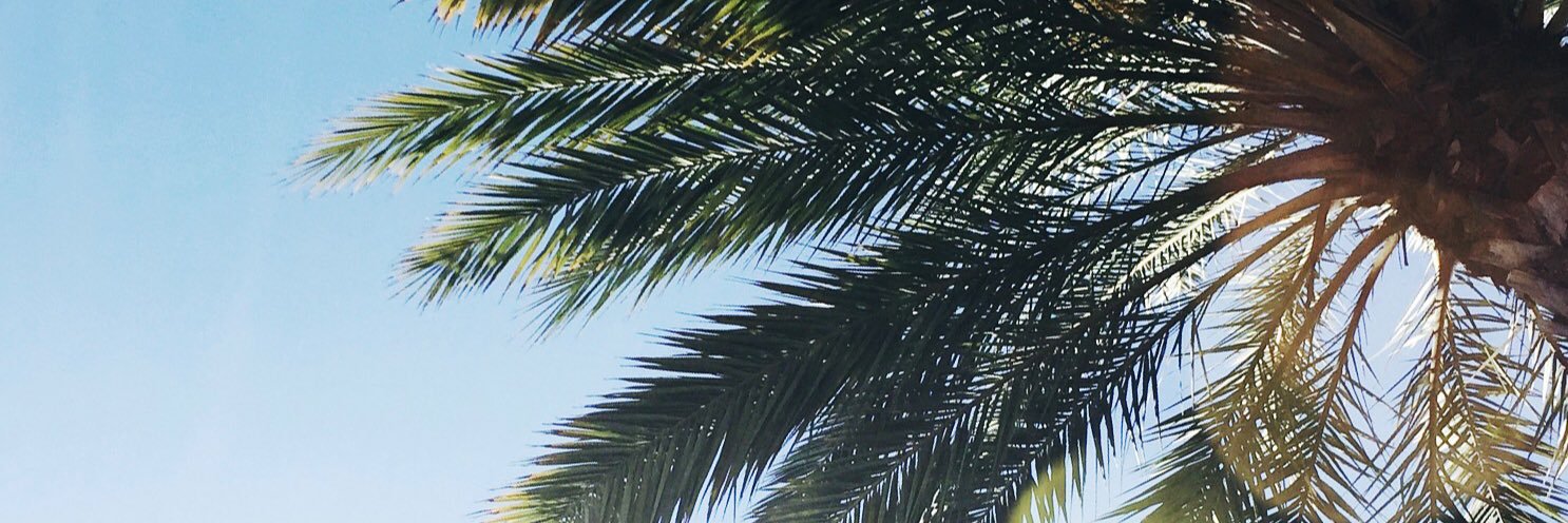 alexlferraro's profile banner image