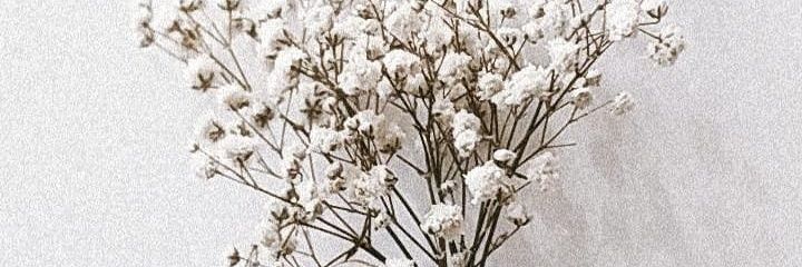 Lavinyalez's profile banner image