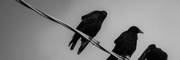mickjenkins Profile Banner