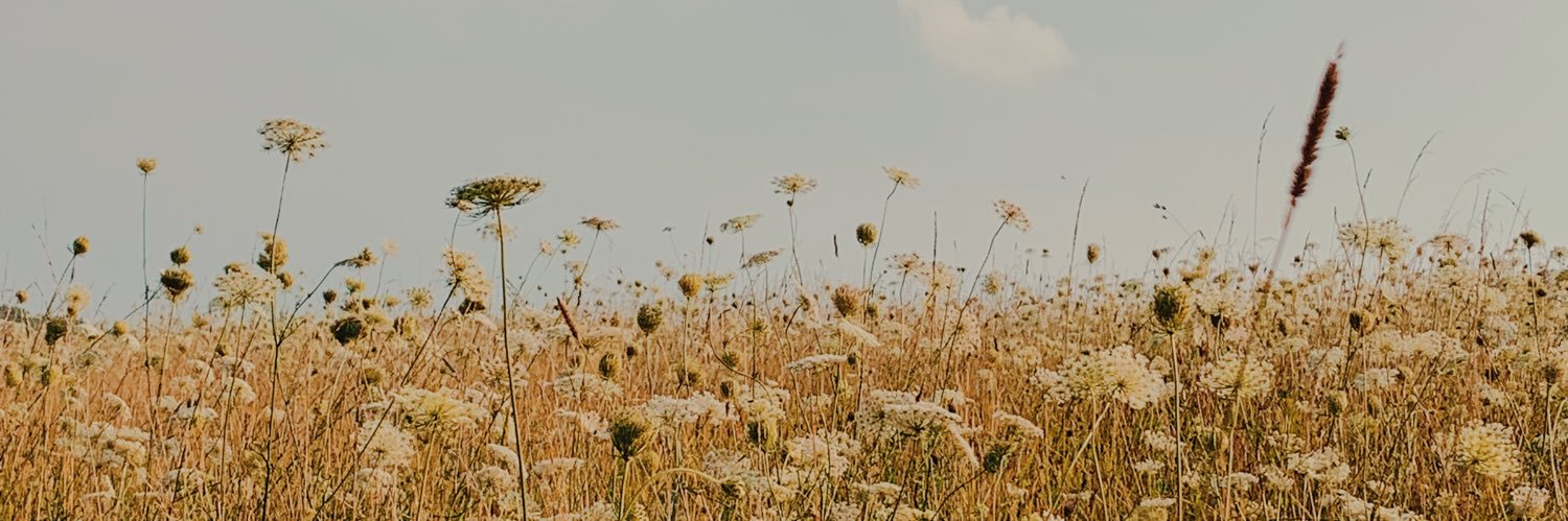 bitchwithbones's profile banner image