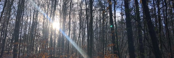 DrAmymitchell2 Profile Banner