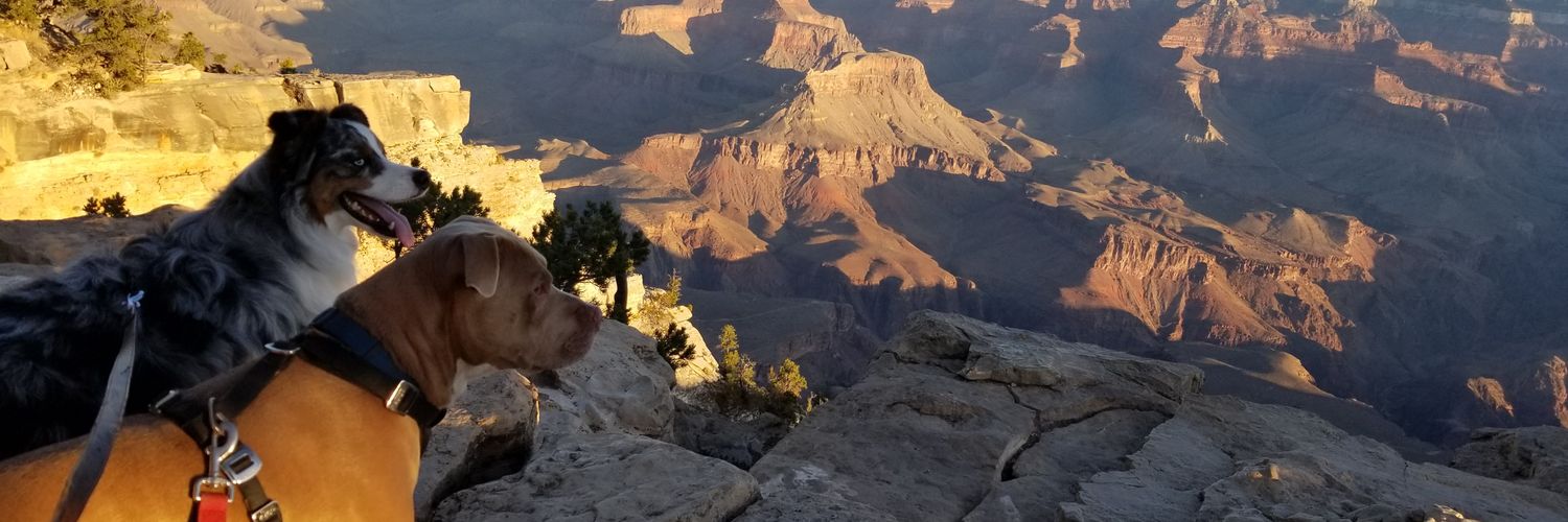 Rjohnsonn64's profile banner image