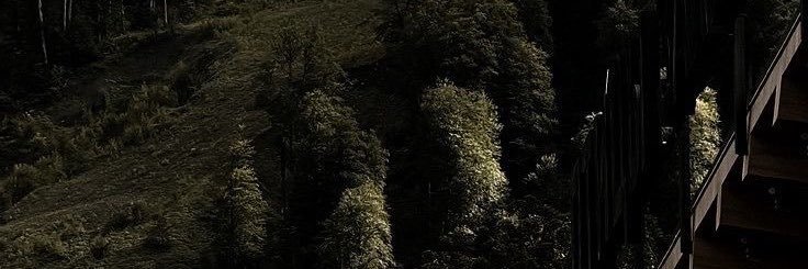 sonnetwishes's profile banner image