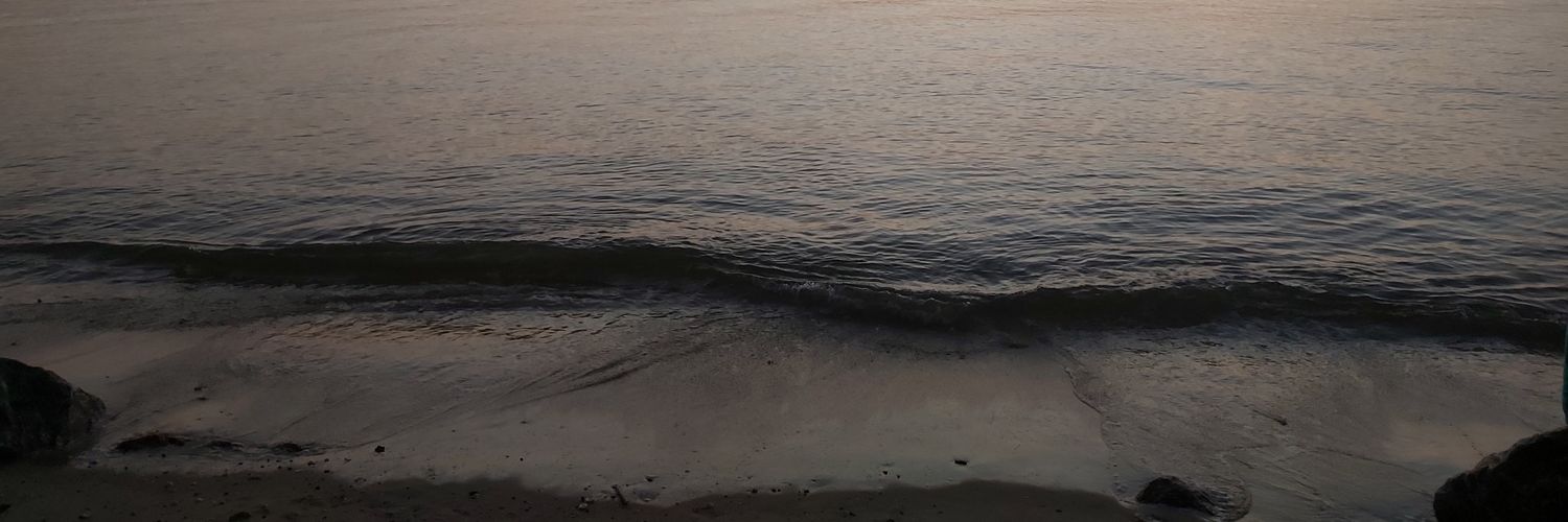 Ployyleto's profile banner image