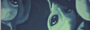Ycadlq's profile banner image