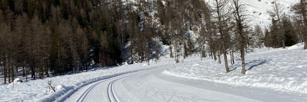 Eva Østergaard-nielsen Profile Banner