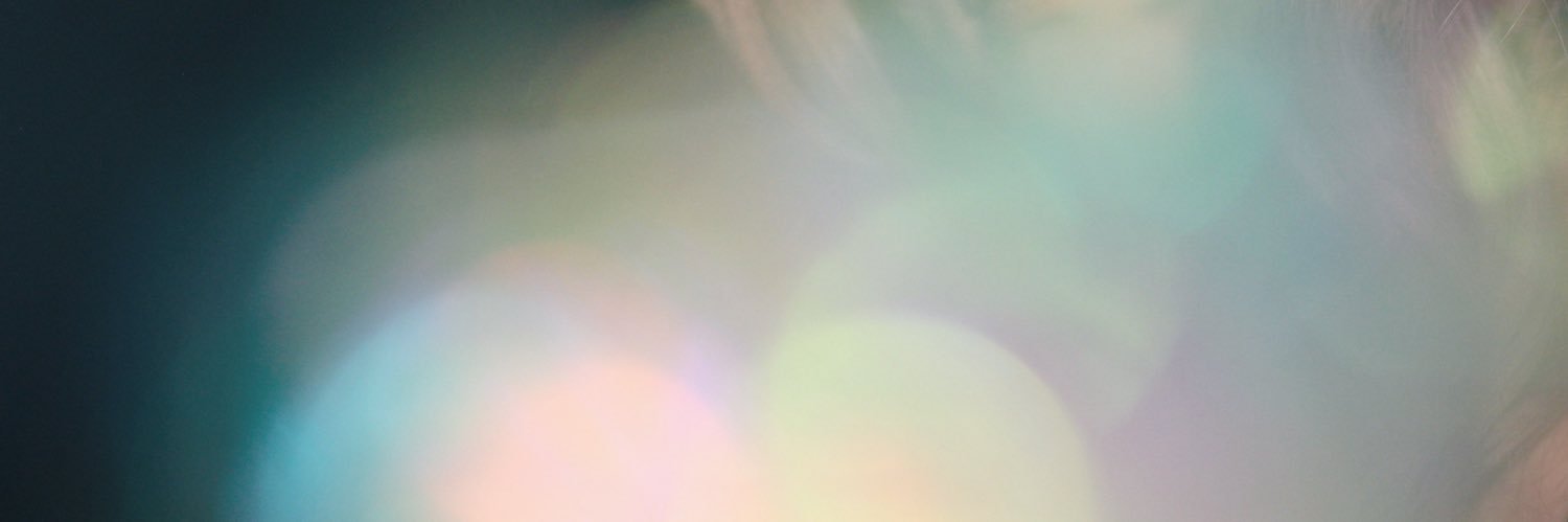 SarahReinhart2's profile banner image
