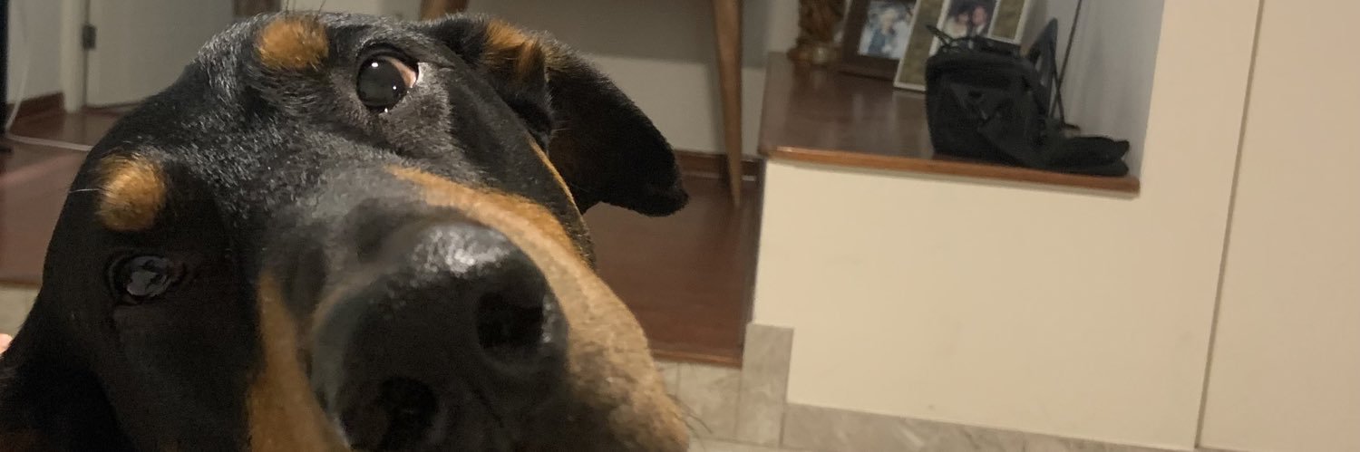 annavanderkodde's profile banner image