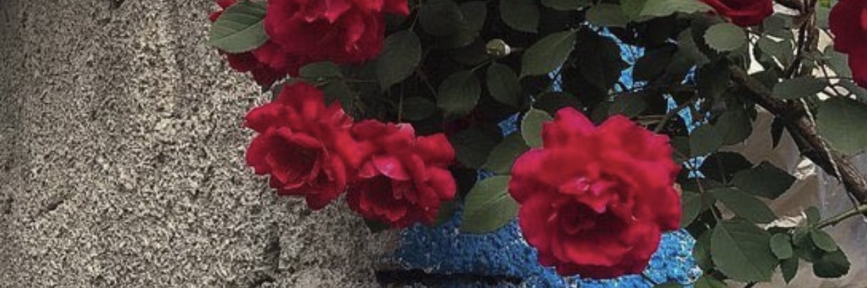 9ay223's profile banner image