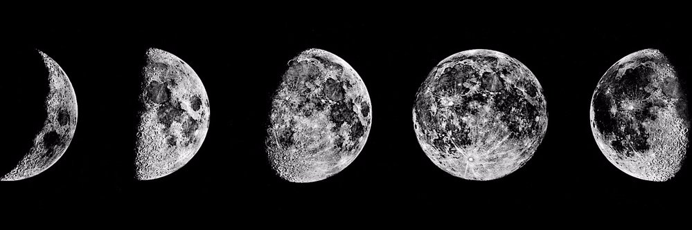 Красный Дракон banner