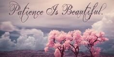ucraine's profile banner image