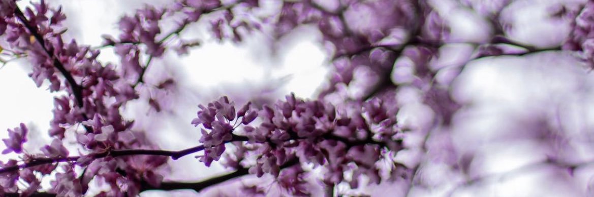 debtristan's profile banner image