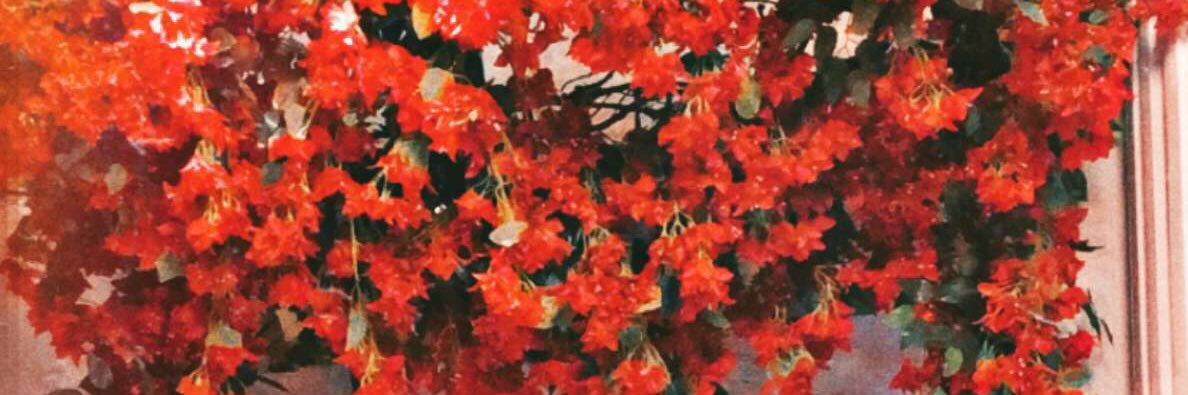 mno_so's profile banner image