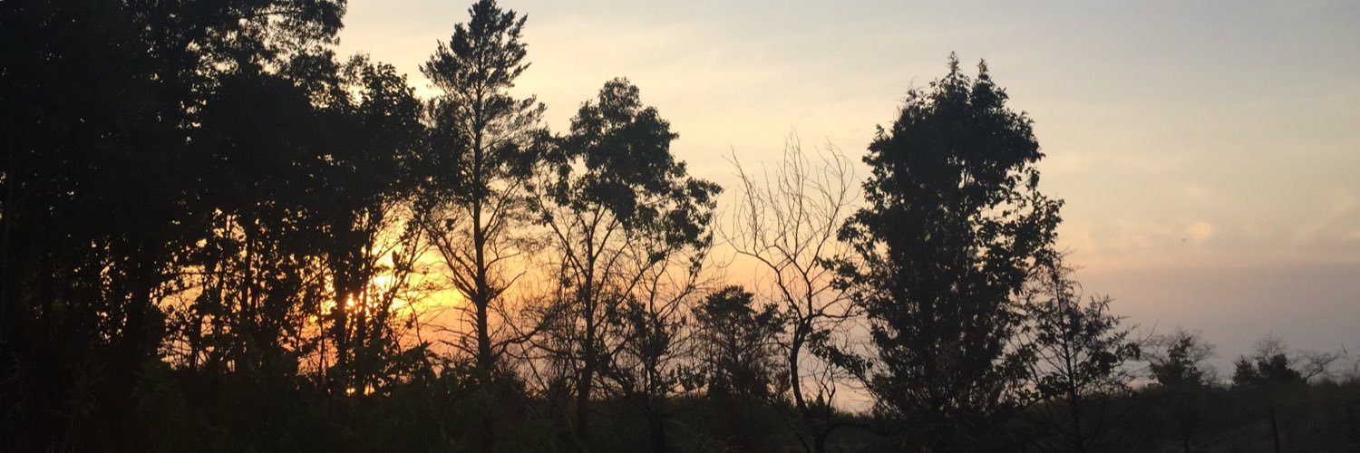Mikayla_SEH's profile banner image