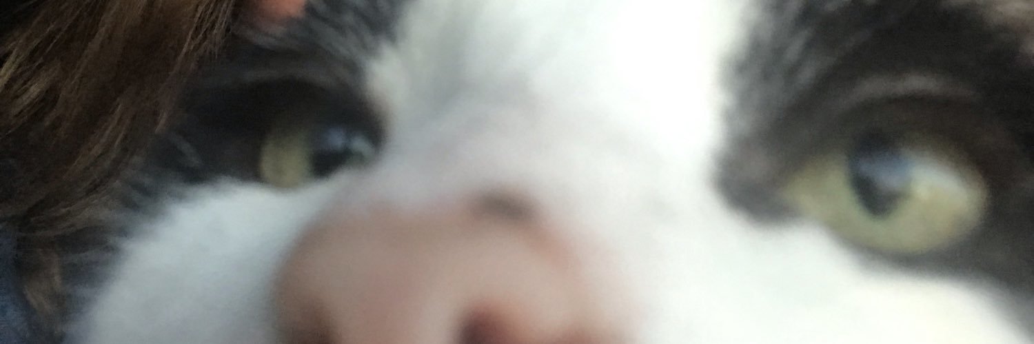 rjadena_'s profile banner image