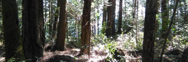 TimoHSchaefer Profile Banner