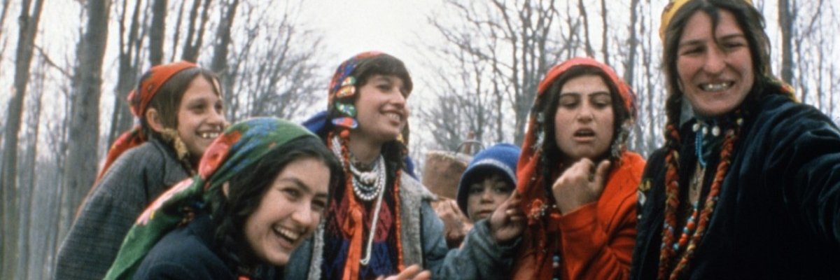 WilliamWwolfe28's profile banner image