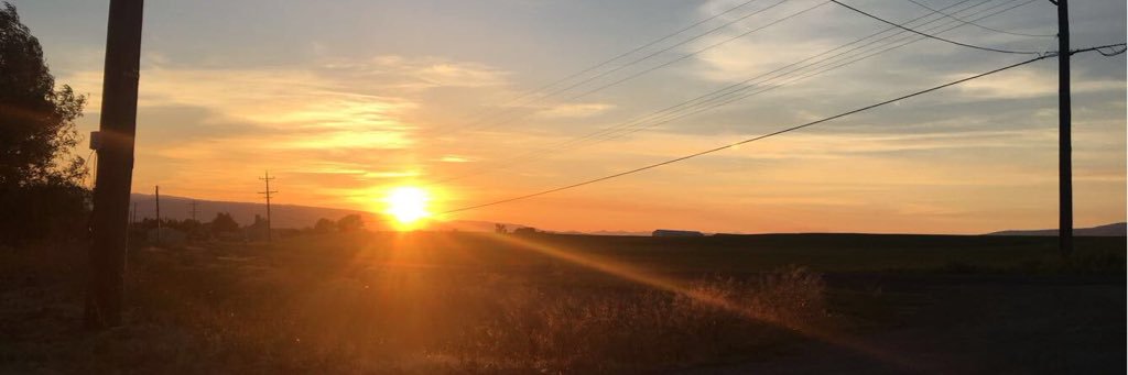Ryanbogy2's profile banner image