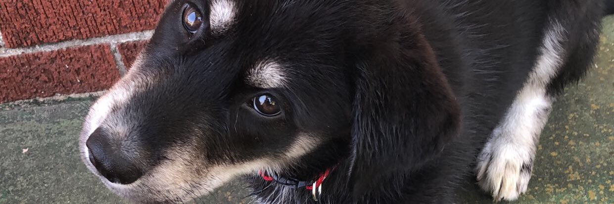 its_CintCint's profile banner image