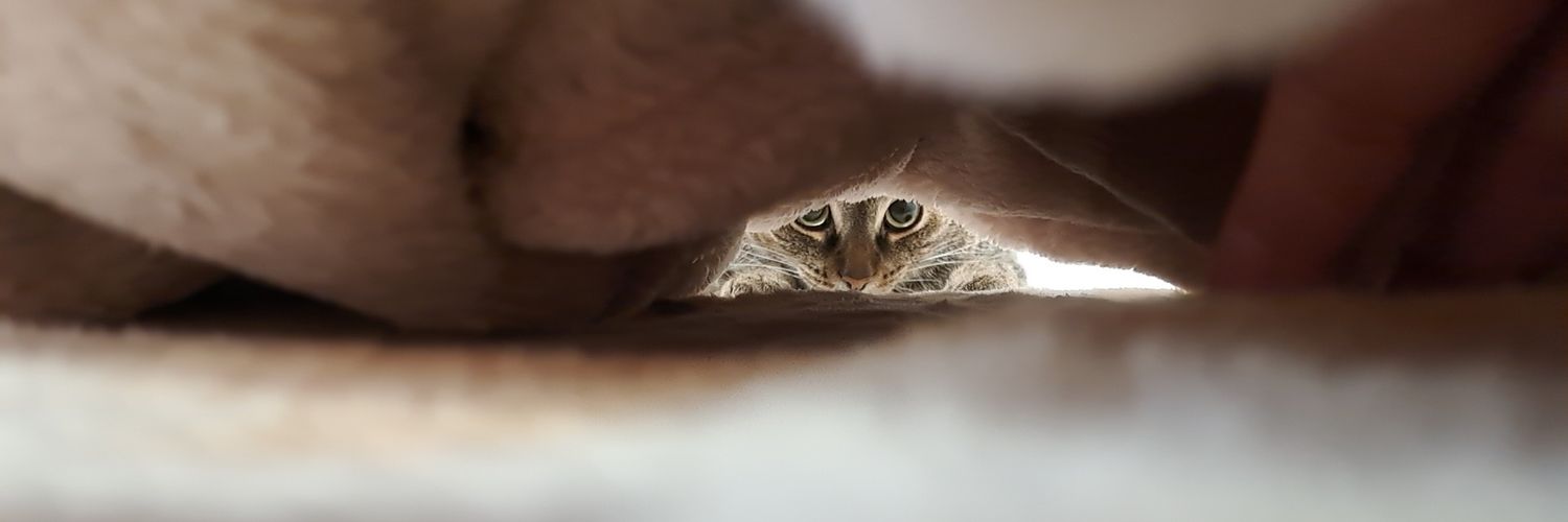 OneilZo's profile banner image