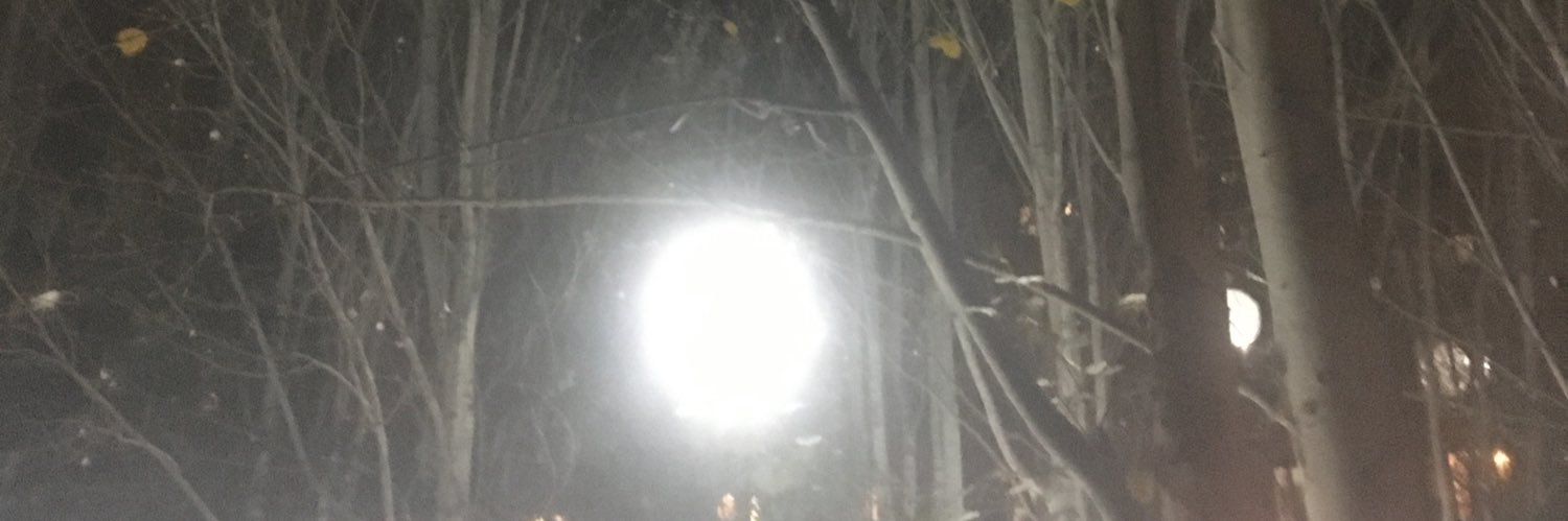 3tsar3's profile banner image