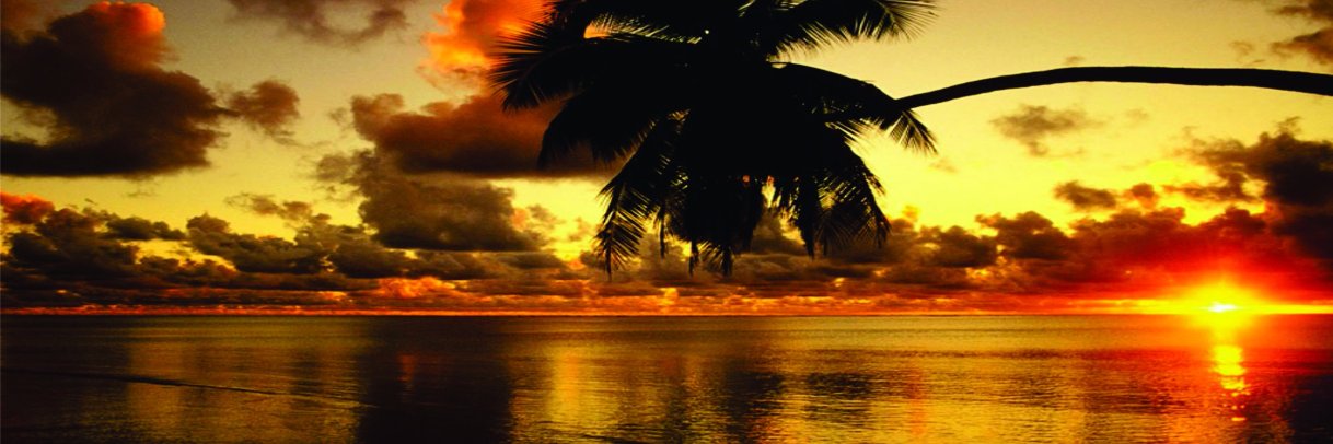 Chris Teschi banner