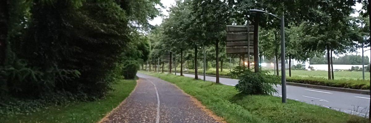 hadjer_98's profile banner image